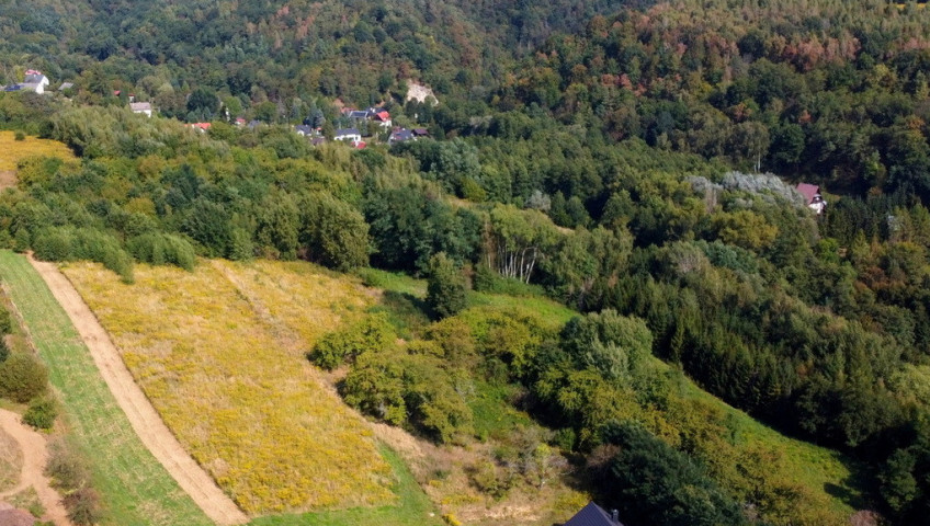 Działka Sprzedaż Zelków Do wydzielenia działka 30a Zelków Gacki blisko Ujazdu gm. Zabierzów