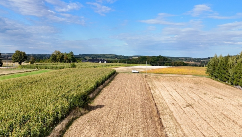 Działka Sprzedaż Gołyszyn